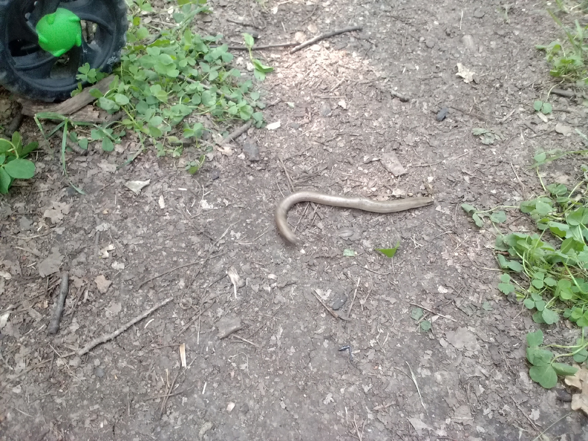 Вот. Видно, что часть тела отрублена и спина как-будто поломана. 