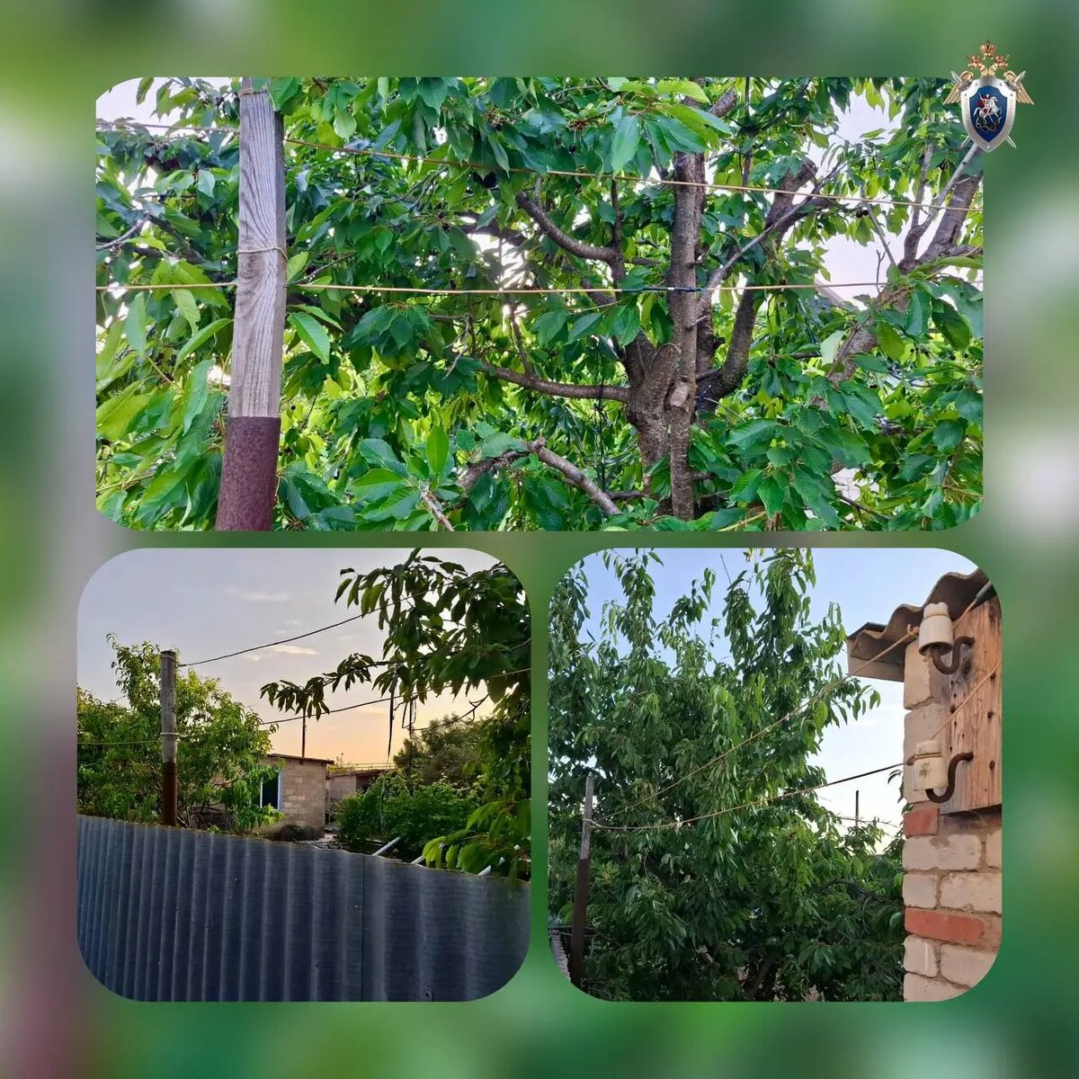    Фото: пресс-служба СУ СК России по Астраханской области.