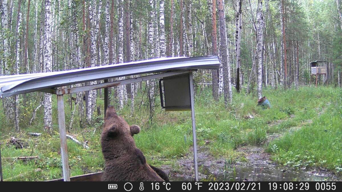 "Не белый, конечно. Но этот Кузя, тоже хлопот доставил не мало"
