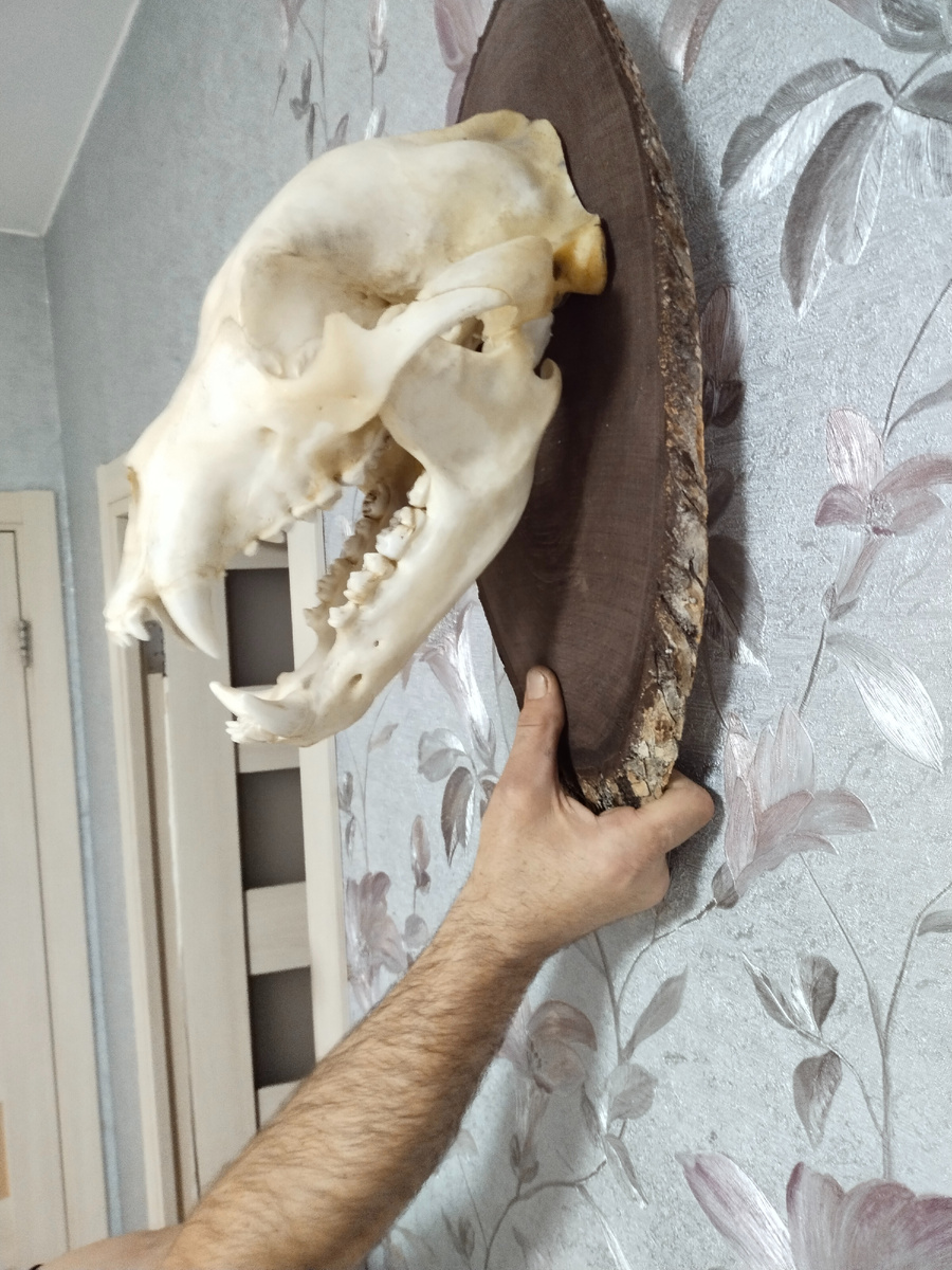 моё хобби в свободное время.