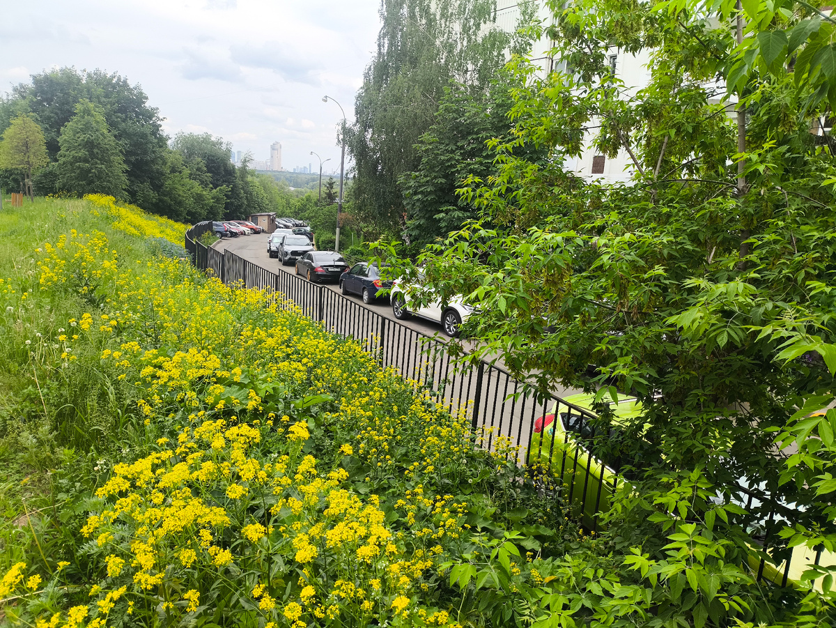 Фото: Иван Путешествует