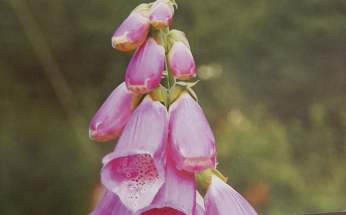 Фото автора канала