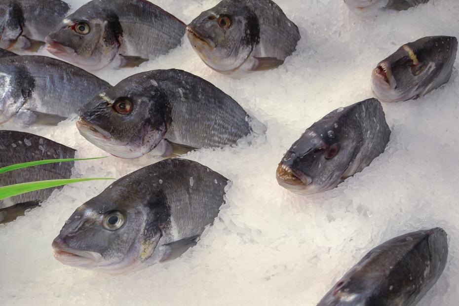    Сергей Булкин/NEWS.ru