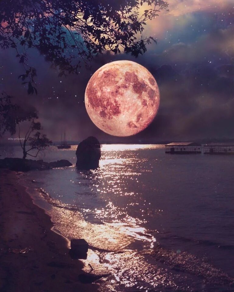 яндекс-картинки