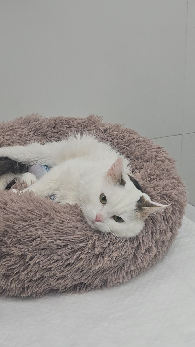 Инвалид Пашенька 