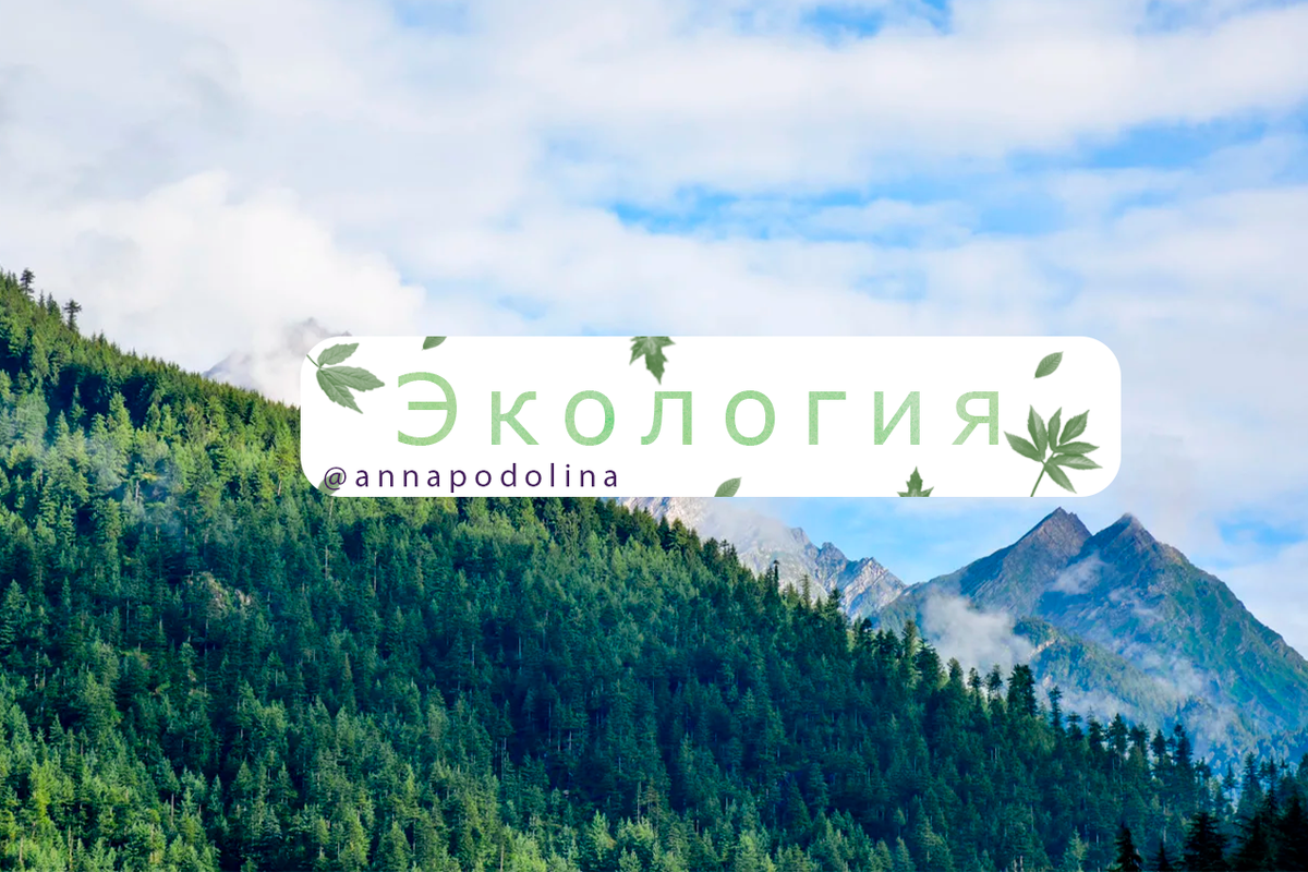 проголосовала за защиту горных лесов от вырубок