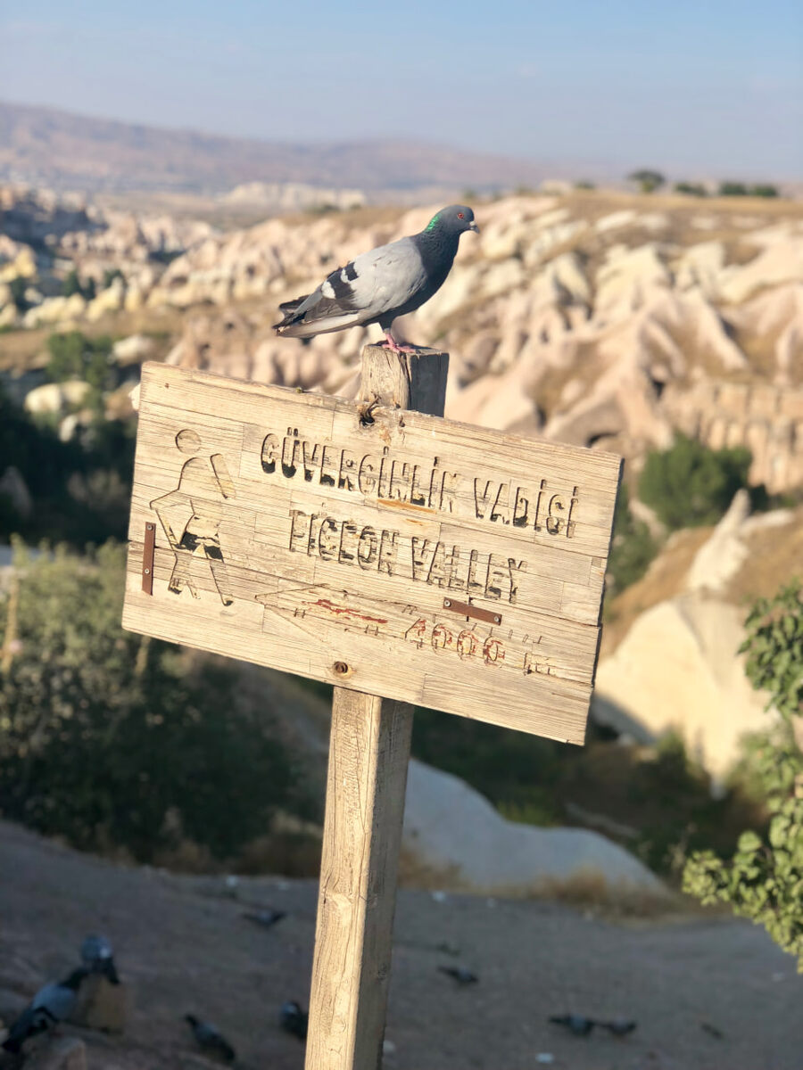 Листайте галерею ->