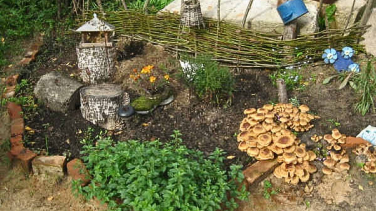 Яндекс картинки