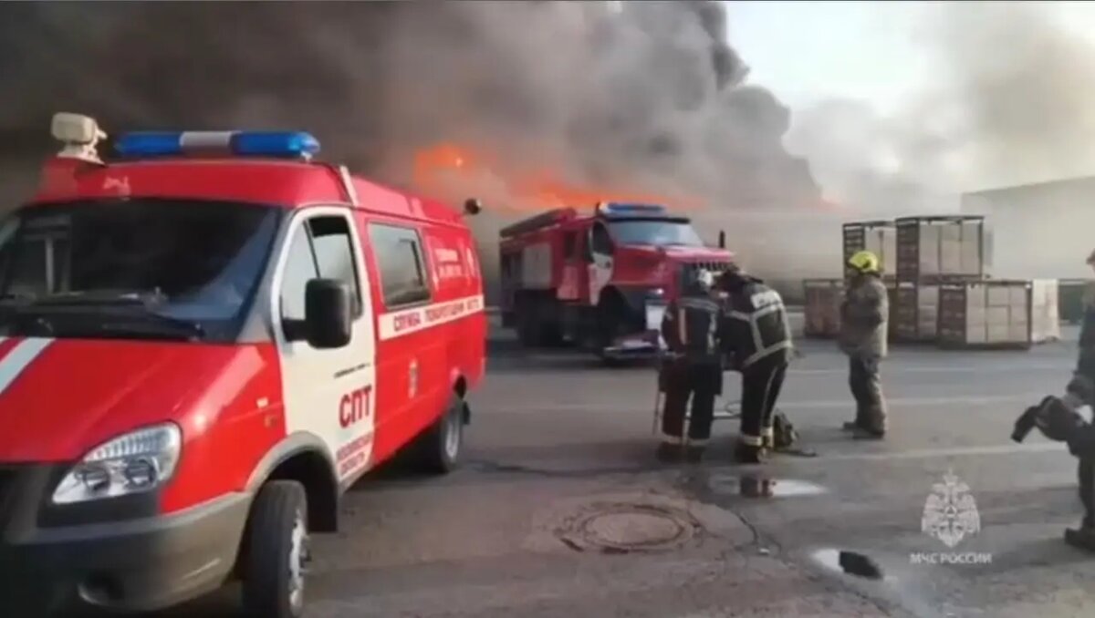    Фото: скриншот из видео пресс-службы МЧС России.