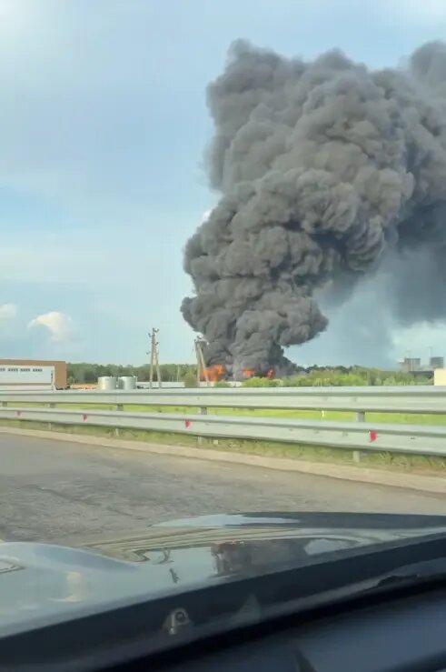    Фото: стоп-кадо видео из телеграм-канала «Типичное Пушкино»