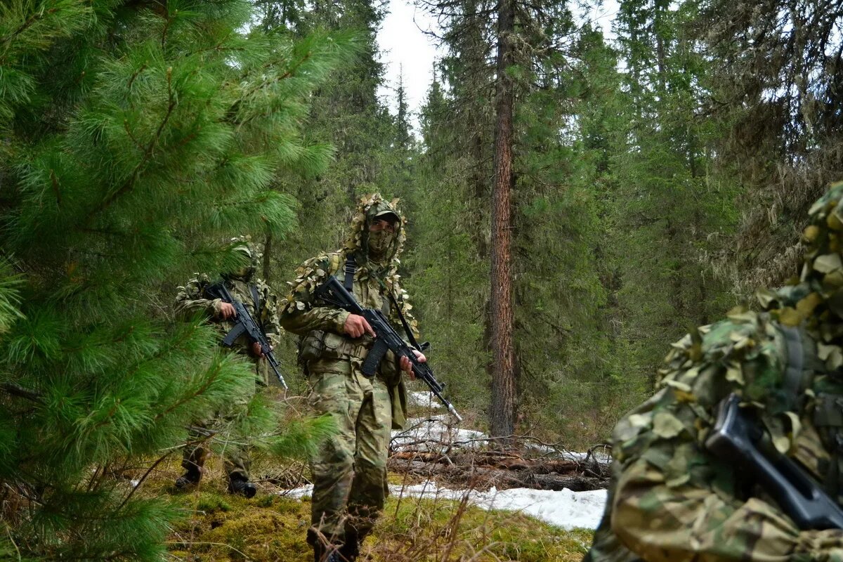 Картинка из открытых источников