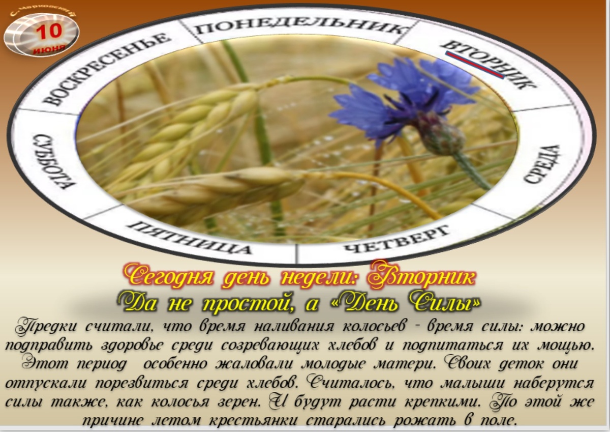 Встречаем новый день