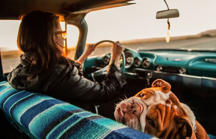 Мыть полы можно только после того, как родной добрался до пункта назначения. / Фото: bethowen.ru