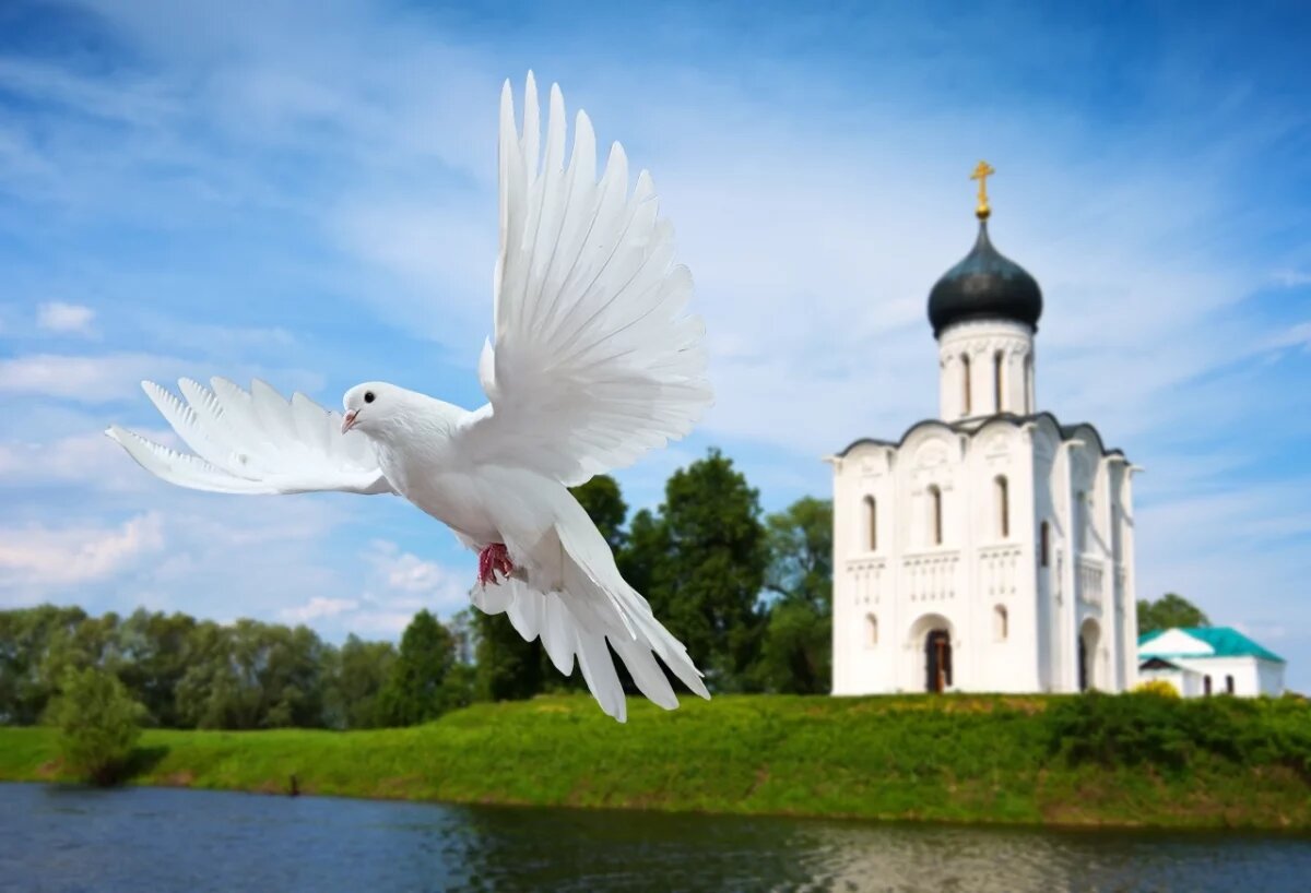    Это — дерзкое богохульство: