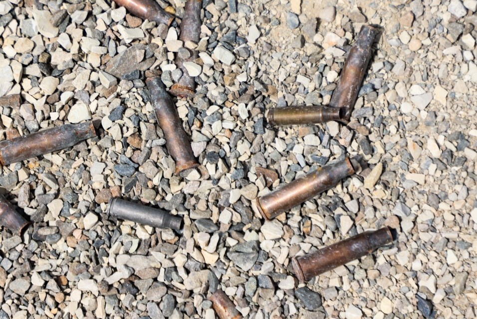    Фото: Belkin Alexey/news.ru/Globallookpress