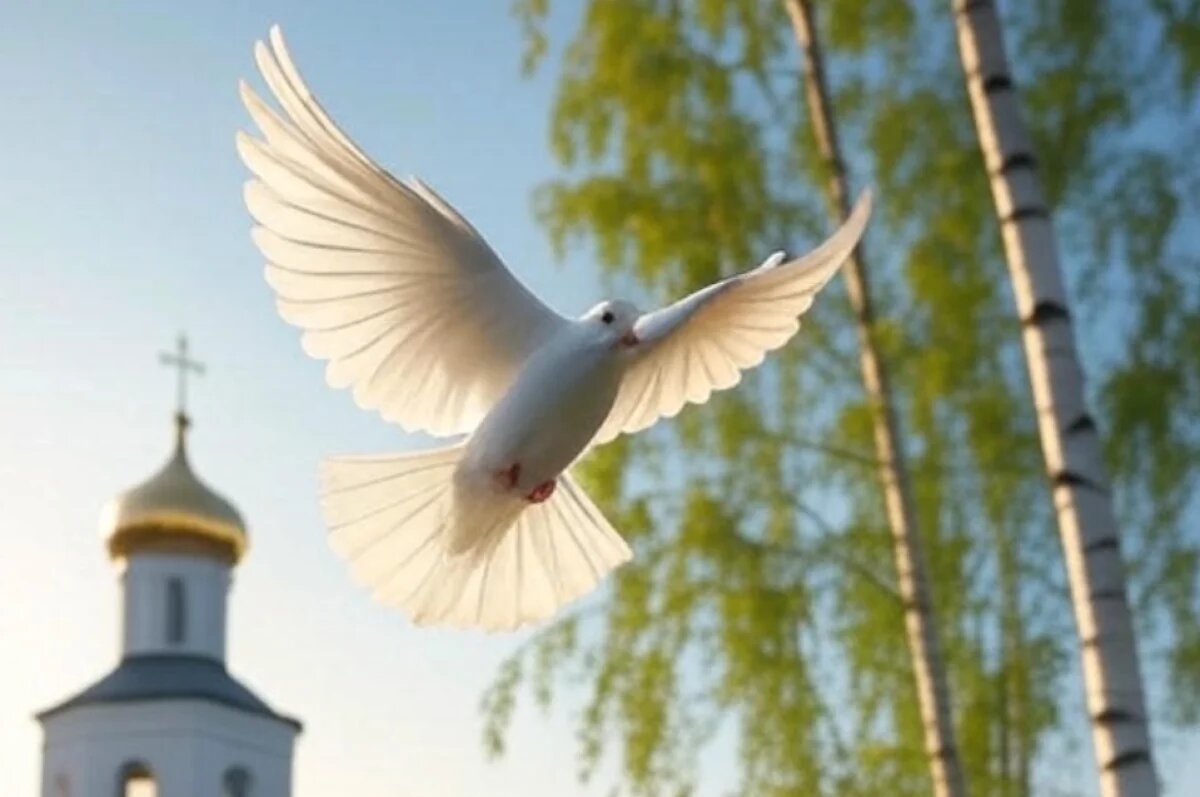    После Троицы — обязательно: