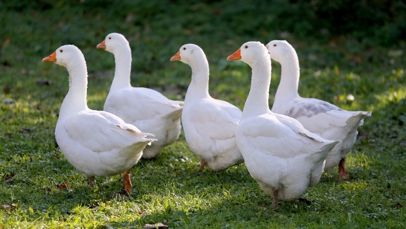 Фото: @EyeEm / freepik.com