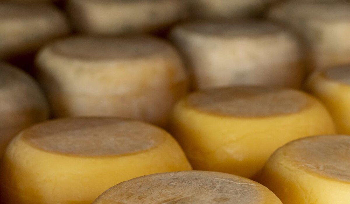     Путешествие по "сырным местам" России