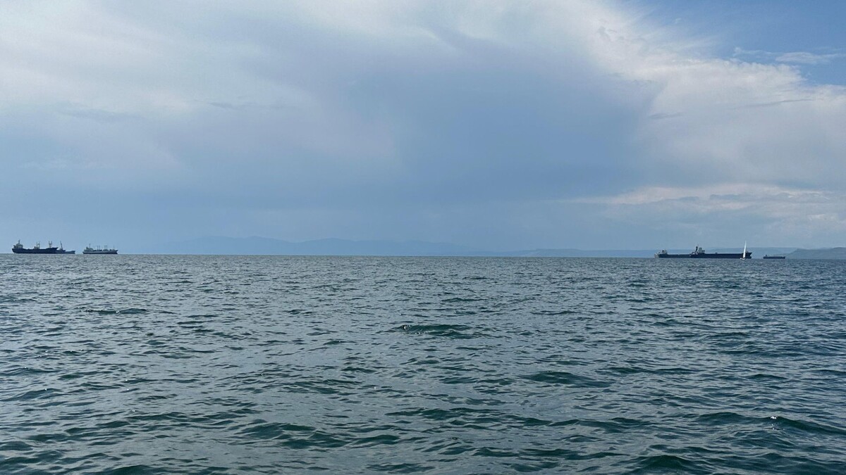     Источник: vostokmedia.com