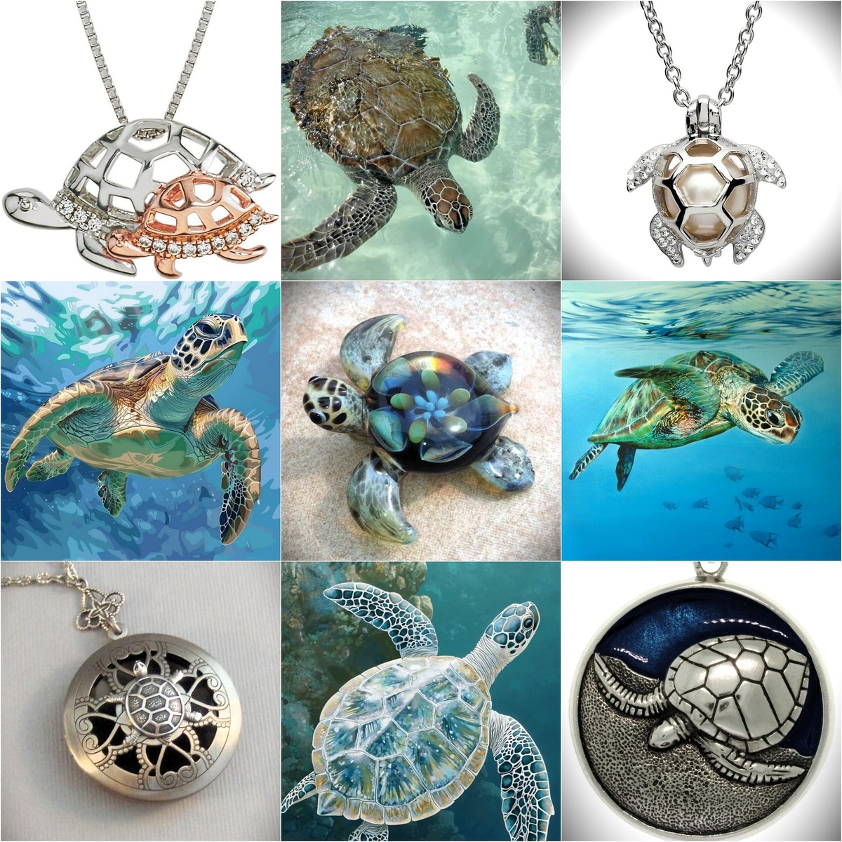 1. Черепахи. Иллюстрации из открытых источников. Коллажи авторские.