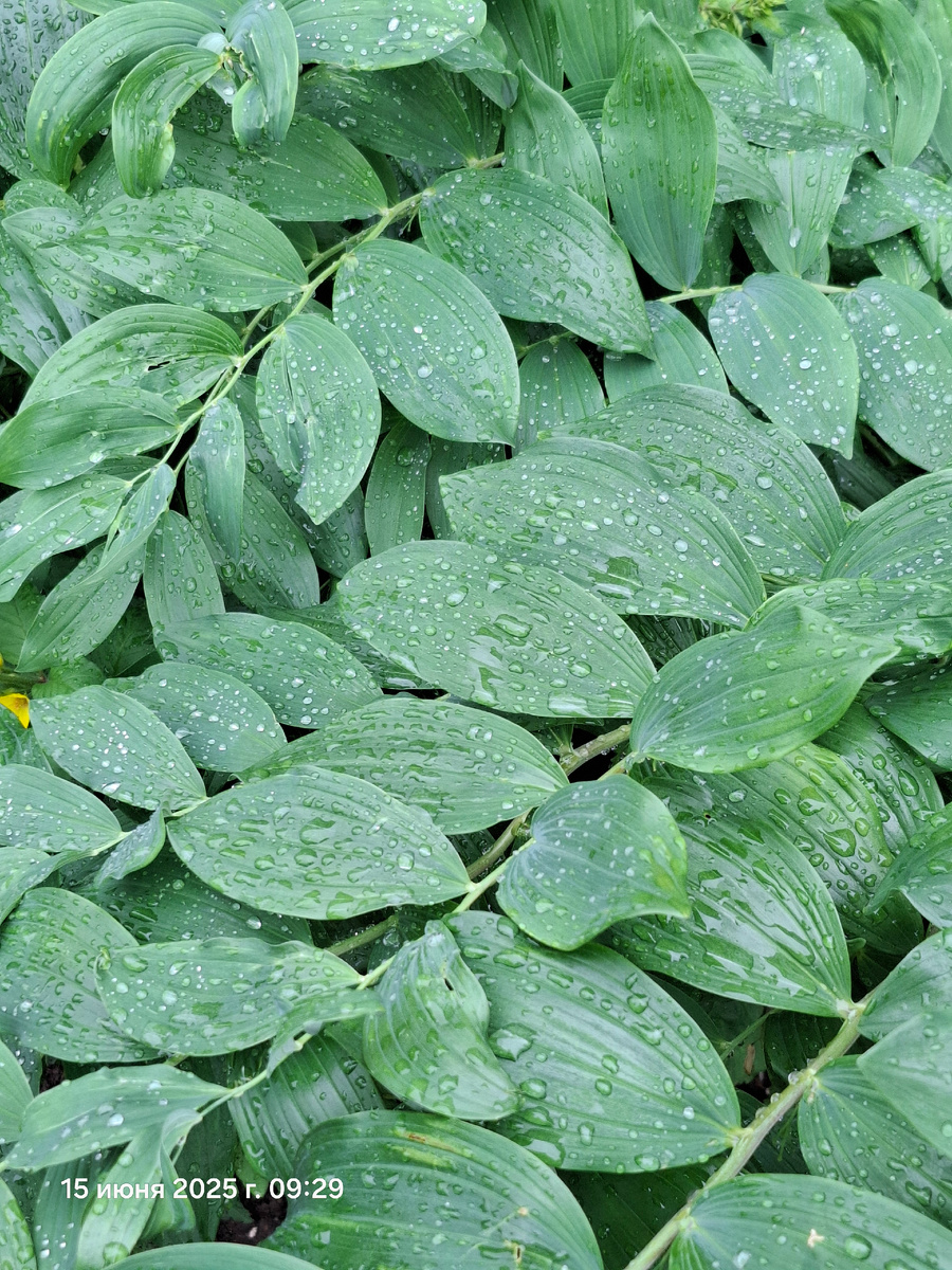 Красиво же🤗