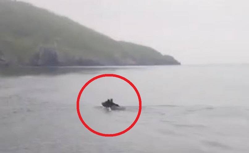    Источник фото: