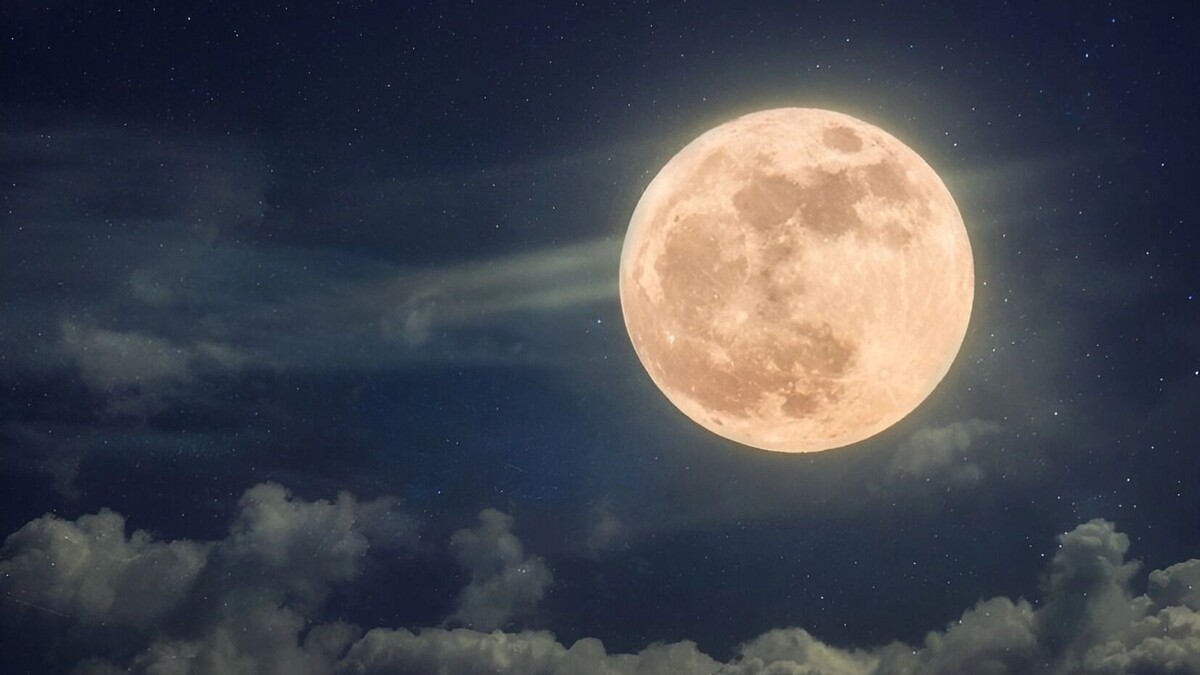     Источник: freepik.com