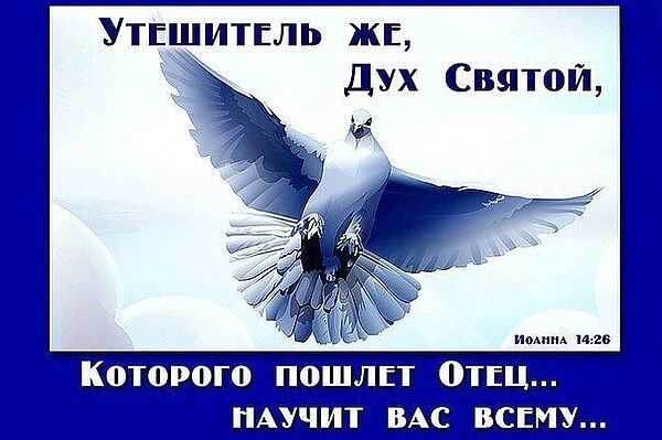 Из открытого источника Яндекса.