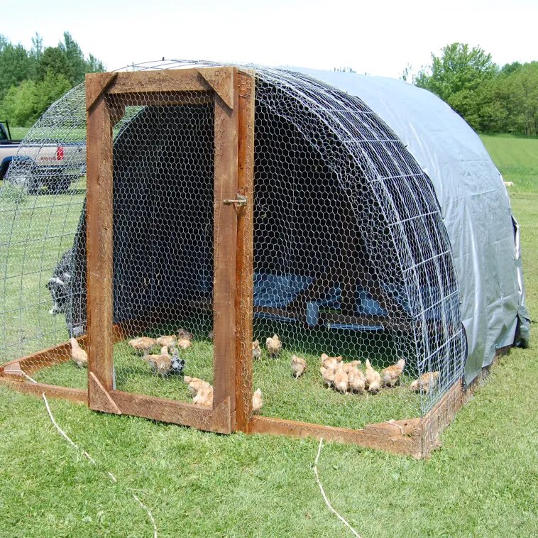 Куры под самодельным навесом из подручных материалов