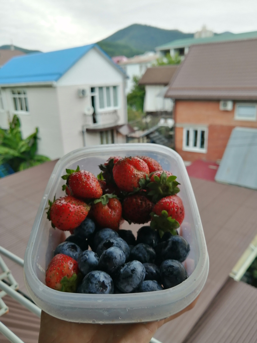 Вид из одного из номеров отеля в Сочи. Этот номер нам больше всего понравился, хотя он и без балкона был