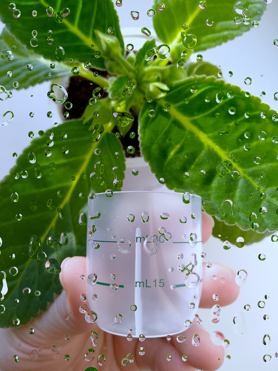 Фото автора канала Зелёное 💚 Царство