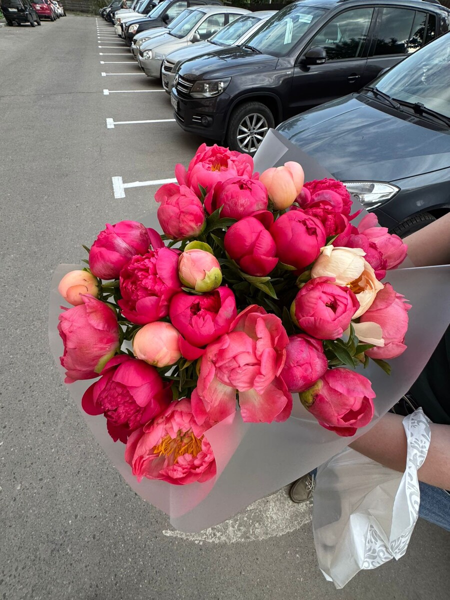 ... Это живые пионы ко мне приехали ...