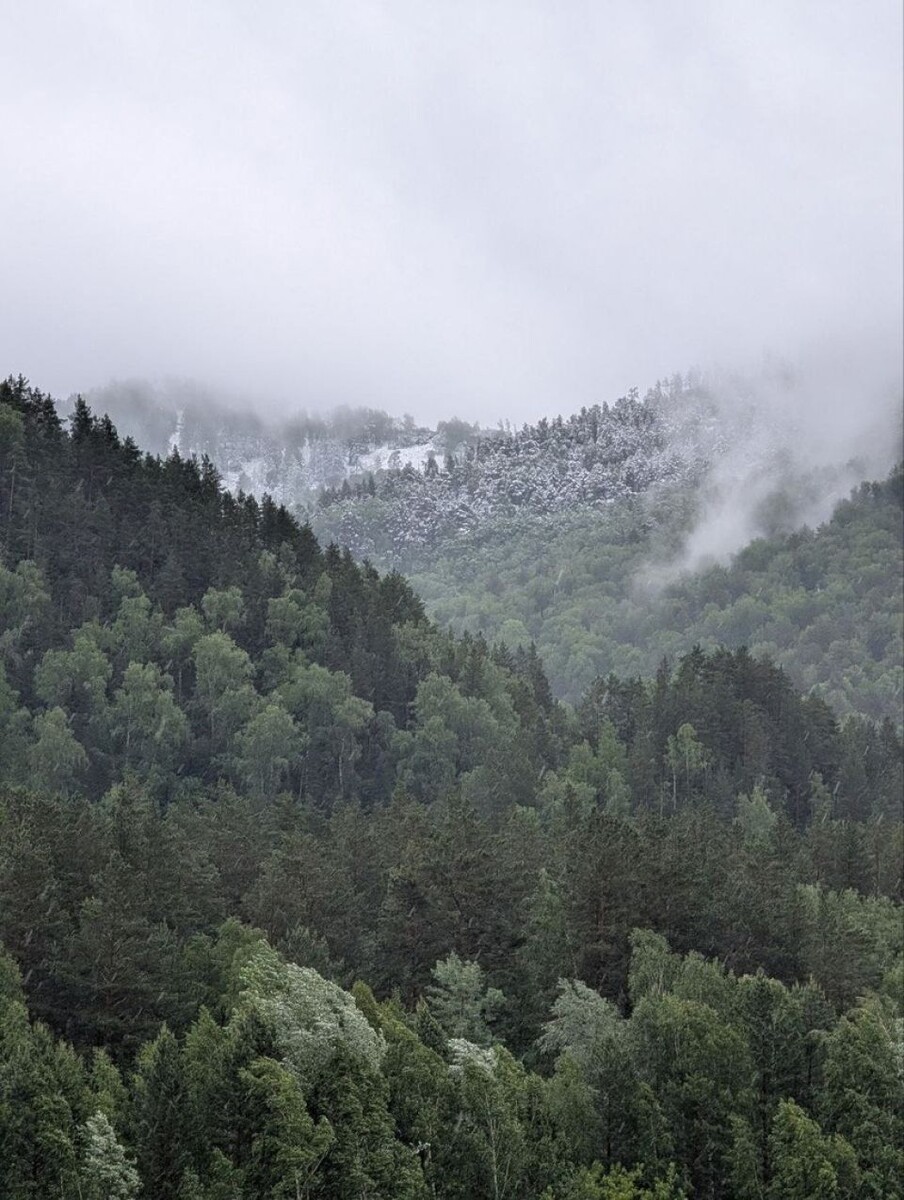    Константин Борисов на Алтае. Источник: vk.com/borisov_cosmonaut