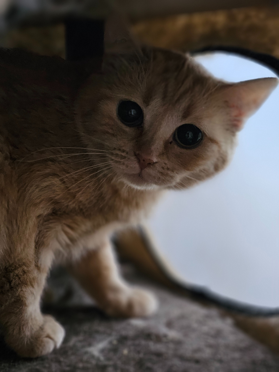 Фото автора. Наша Ясиния.