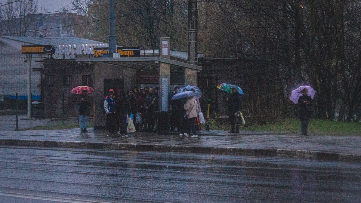     Источник: 1MI