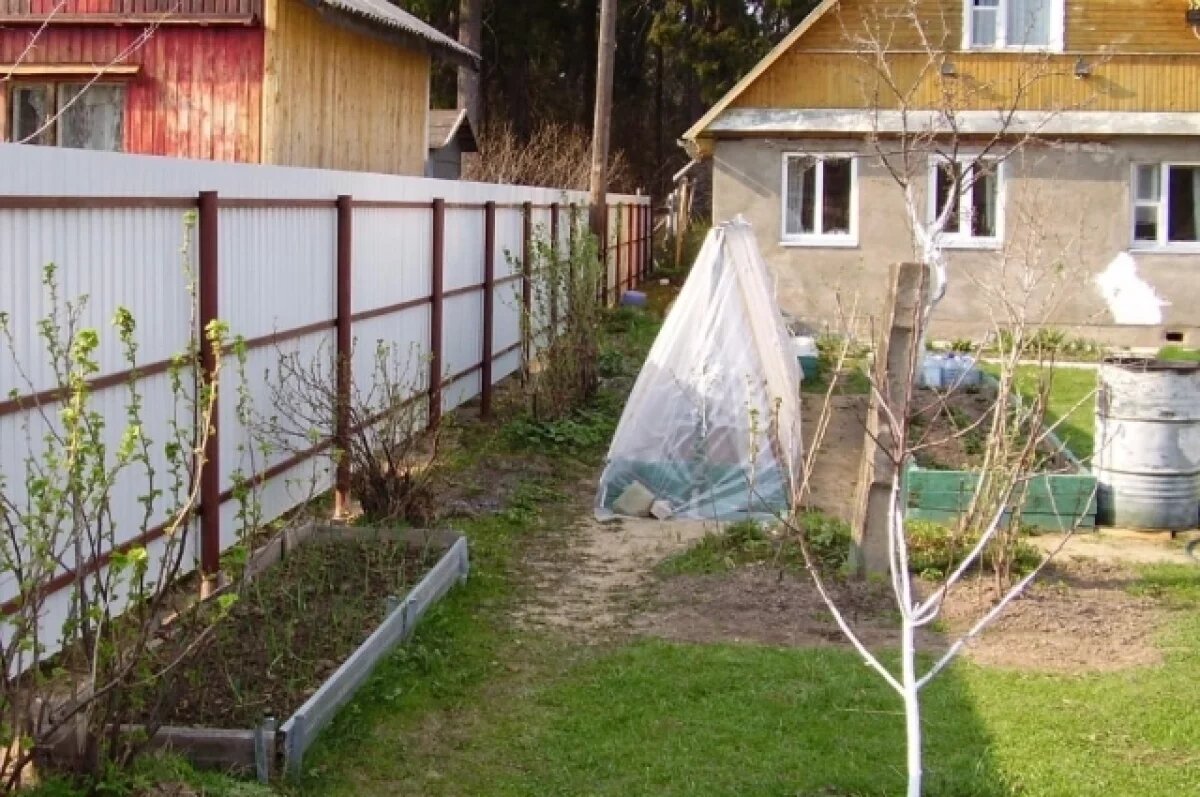    В Хабаровске могут оштрафовать за забор, который портит облик дачи