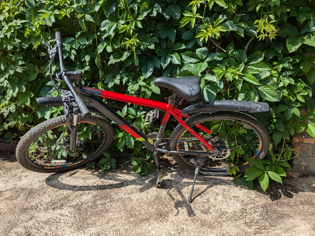 Транспорт на фоне девичьего винограда