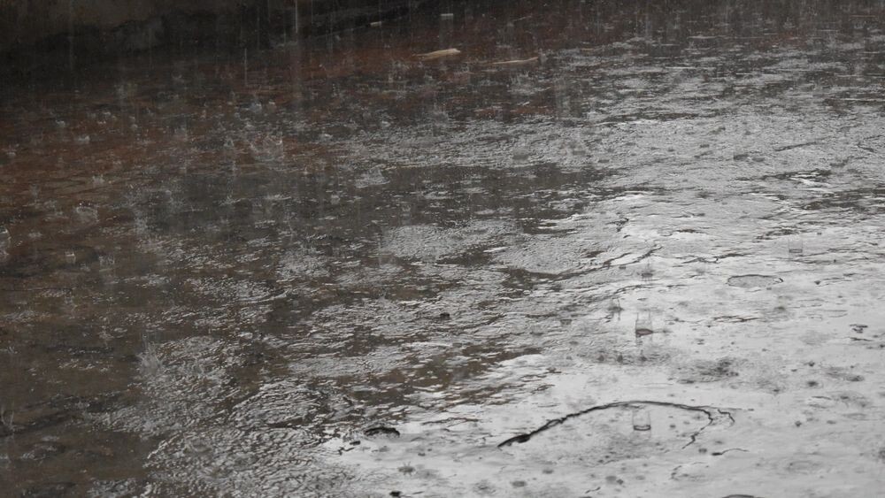    Фото: Mohammad Buraq/Shutterstock/Fotodom