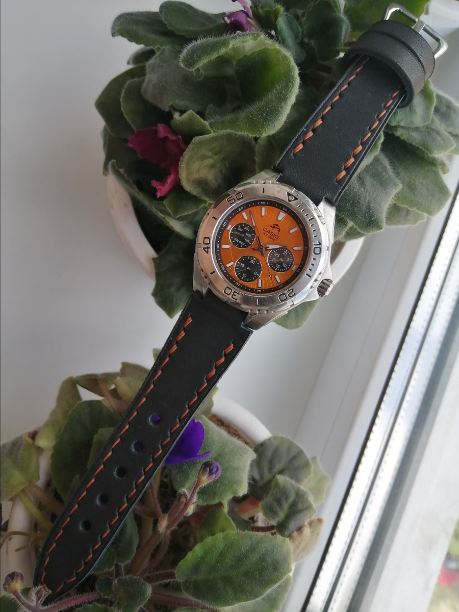 Фотографии автора 