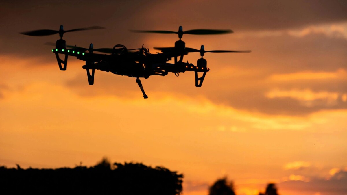    Фото: Wirestock Creators/Shutterstock/Fotodom