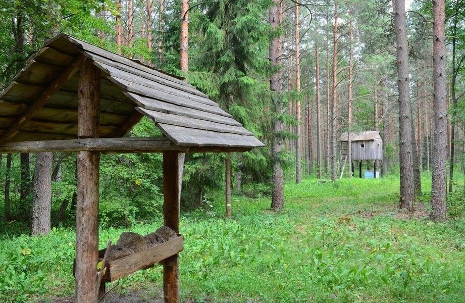    Фото сайта burobiz.ru