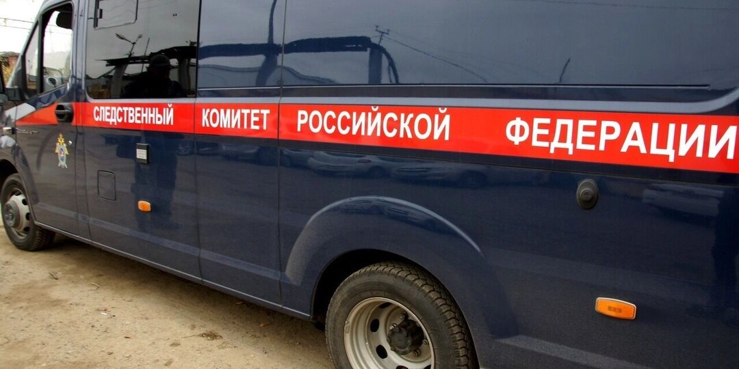 Бастрыкин заинтересовался детьми в Екатеринбурге, угрожавшими подростку пистолетом