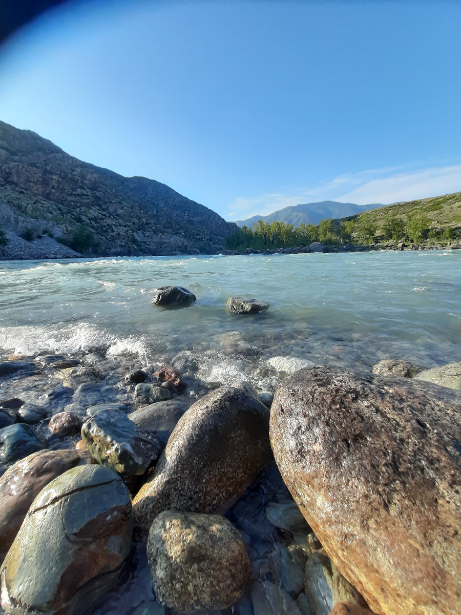 в Горном Алтае