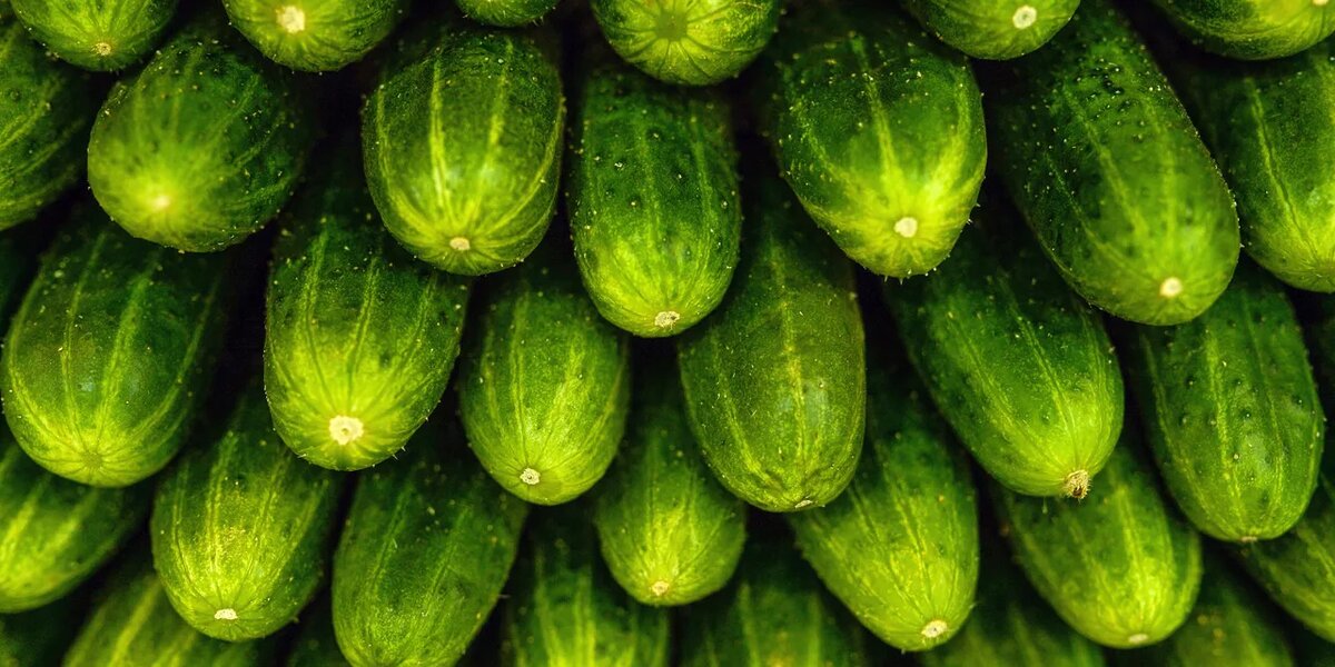 © РИА Новости Евгения Новоженина