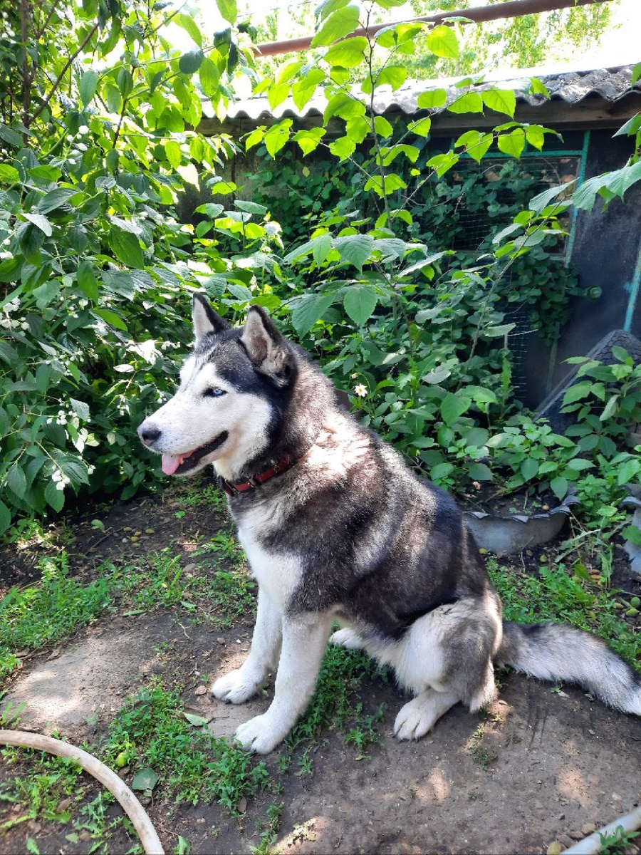 Сидит - грусти