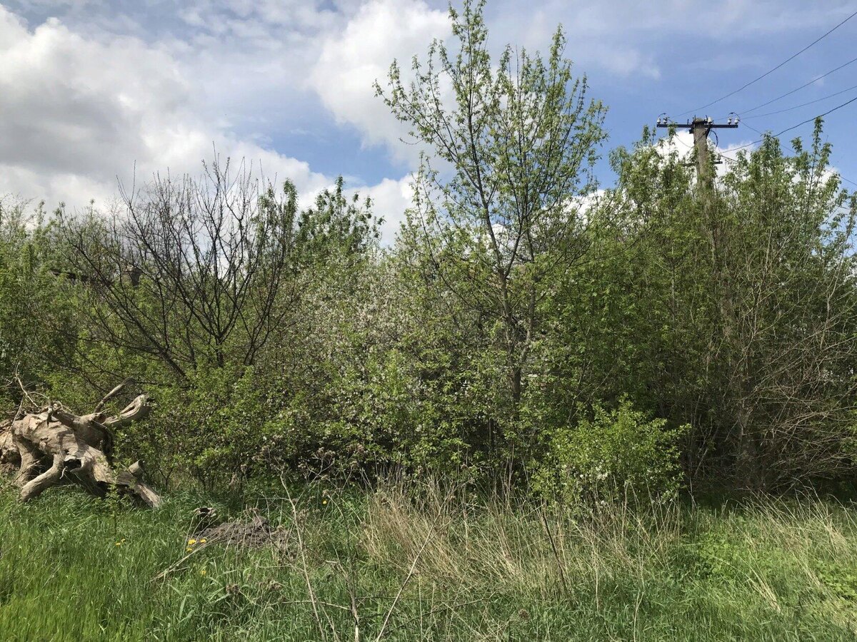 фото автора. 2023 год. Дом без хозяина - не дом...