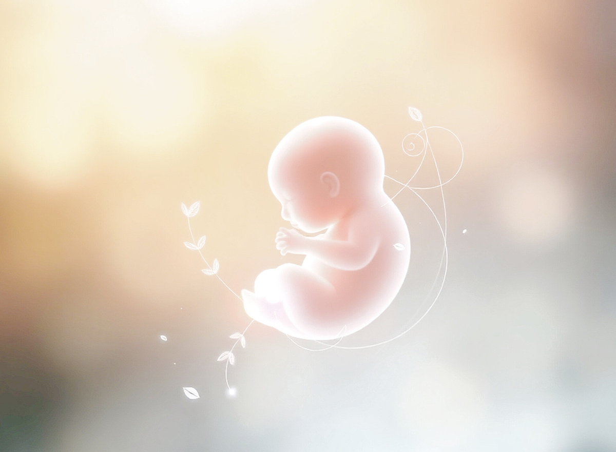 Становление Души