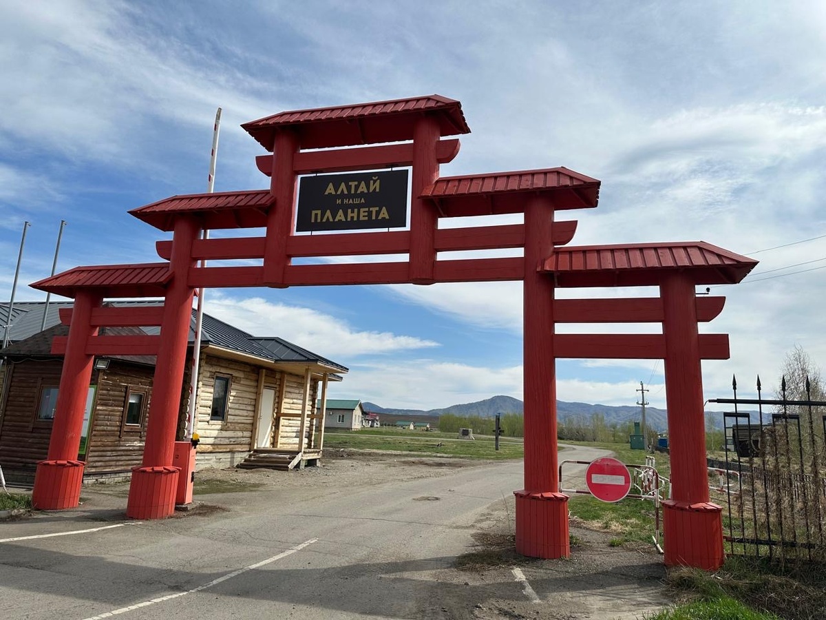 Фото автора. 