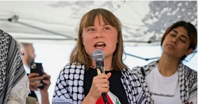 фото из октрытых источников