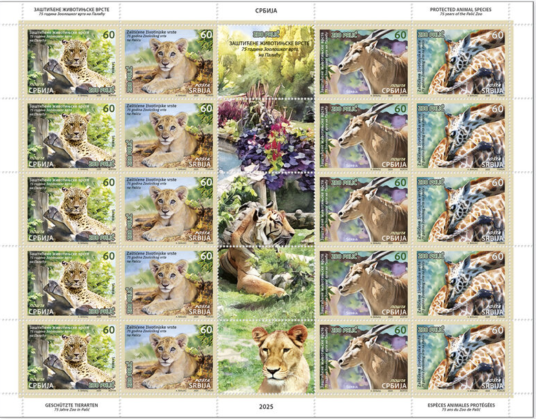 марочный лист